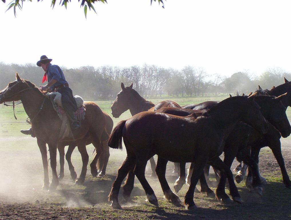 Estancia Don Silvano Pension Diego Gaynor Buitenkant foto