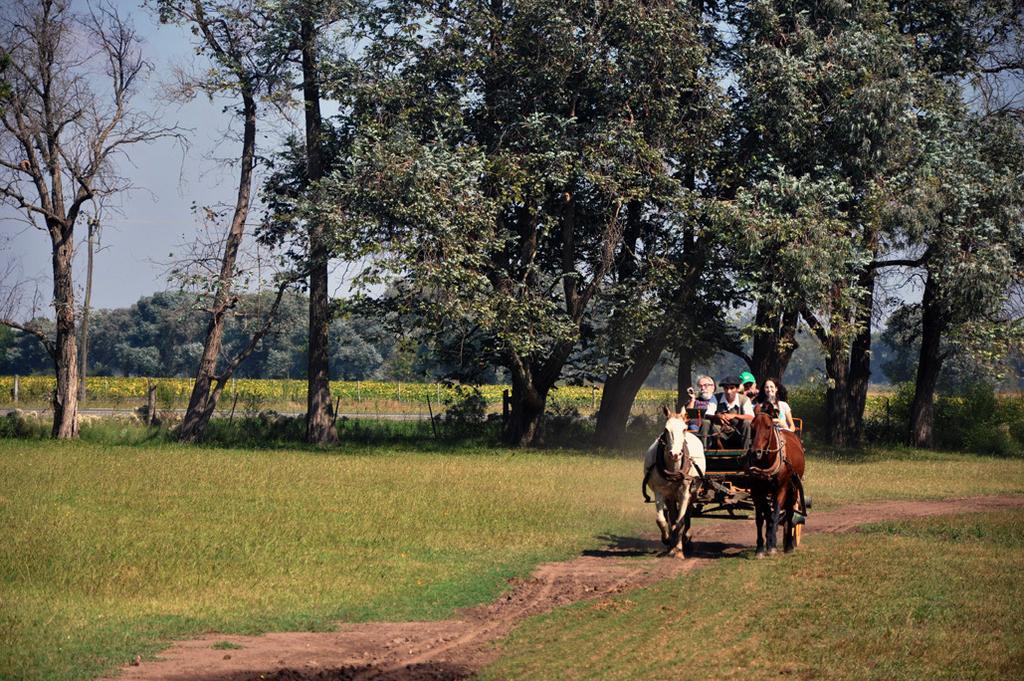 Estancia Don Silvano Pension Diego Gaynor Buitenkant foto